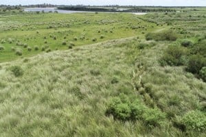 Este Consejo, de carácter no vinculante, asesorará a la Municipalidad, como autoridad de aplicación del Plan de Manejo, y trabajará en colaboración con el equipo del Ministerio de Ambiente y Cambio Climático.Foto: El Litoral