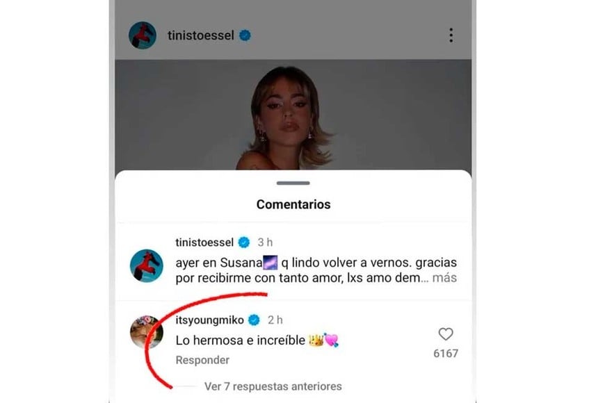 Los comentarios