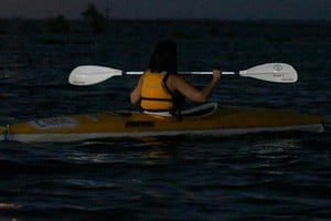 kayak