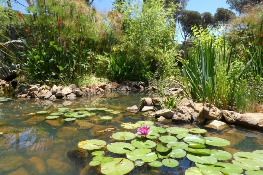 Jardines de Donabo, la naturaleza marroquí en su esplendor. Gentileza