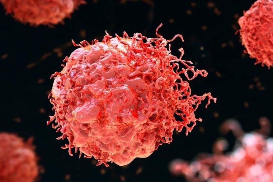 El cáncer colorrectal es el tercer más diagnosticado y la segunda causa de muerte por cáncer, con 904.000 muertes en 2022.