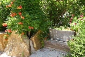 Jardines de Donabo, Tánger, Marruecos. Lugar único, que se destaca por la pluralidad de mundos vegetales que contiene. Gentileza