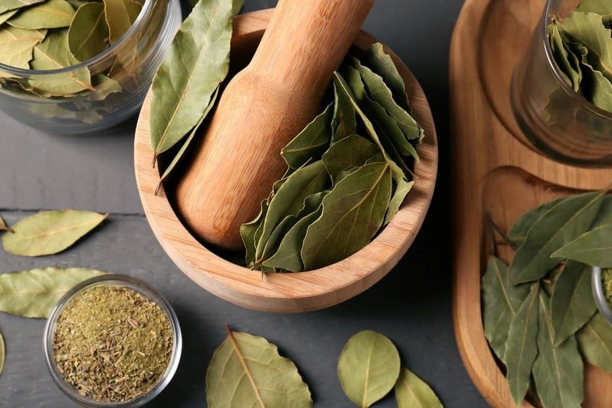 Detalle de una hoja de laurel, conocida por sus propiedades purificadoras y espirituales.