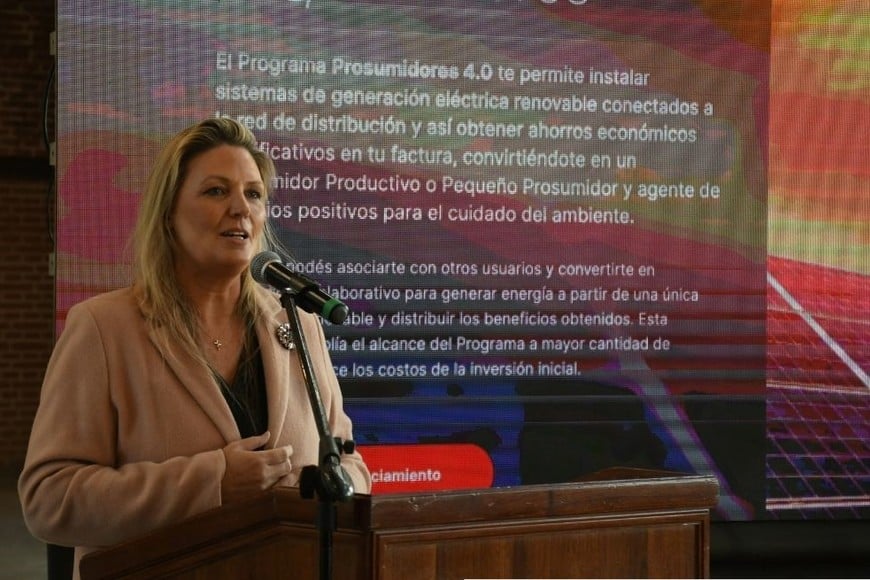 "Si la Nación plantea cortes programados o en un momento colapsa el sistema, no hay forma de que nosotros ni ninguna provincia pueda salirse y plantear que se compra generación por otro lado", sostuvo Geese. Créditos: Mauricio Garin