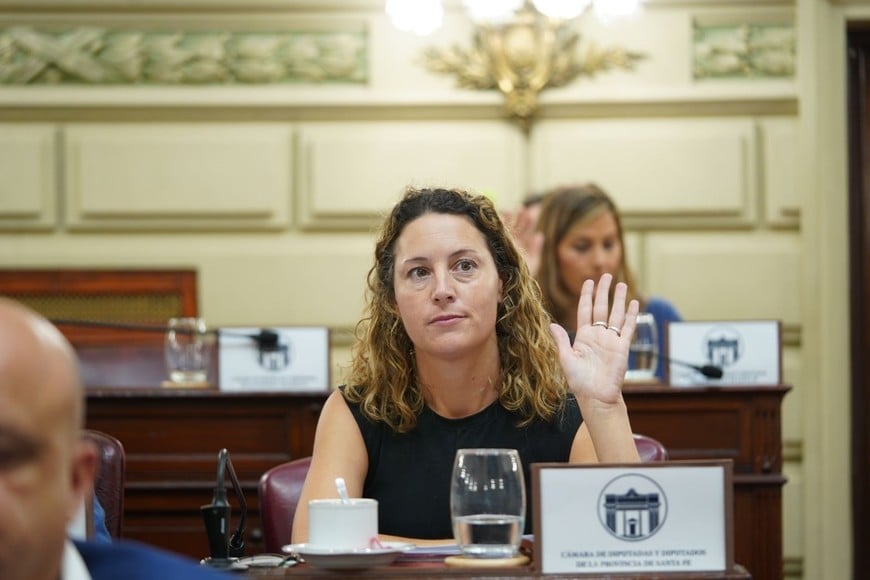 Jimena Senn, presidenta de Presupuesto defendió el mensaje del Ejecutivo. Foto: Cámara de Diputados