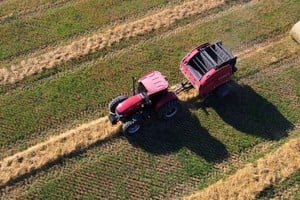 Sólo 27,2% de los impuestos nacionales al agro son coparticipables entre el Estado nacional y los Estados provinciales. Foto: Luis Cetraro.