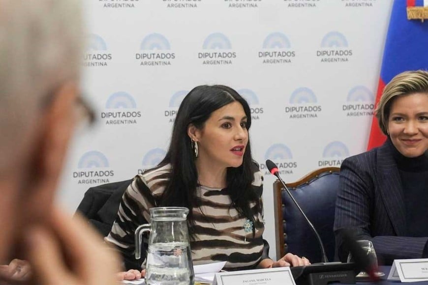 La diputada Pagano iniciará acciones legales.