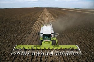 La superficie sembrada con girasol para esta campaña fue de 131.100 hectáreas.
Foto: El Litoral