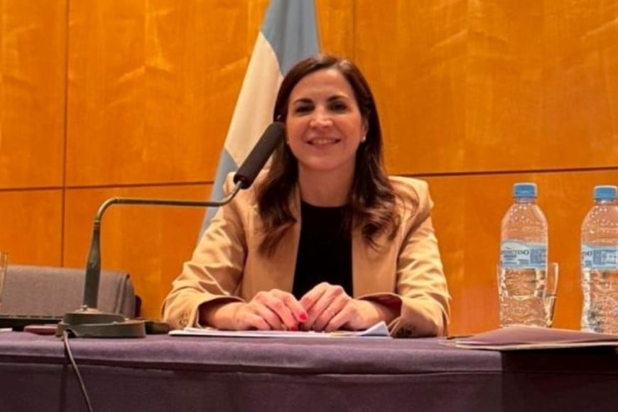 Alexandra Biasutti, Subsecretaria de Seguridad Social del Ministerio de Capital Humano.