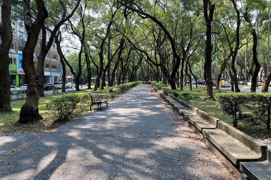 El orden y la armonía de las calles del centro de la capital taiwanesa. La mezcla perfecta entre los modernos edificios y la flora del lugar.