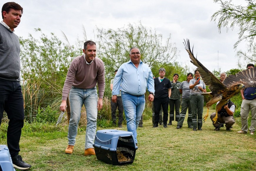 Estas iniciativas, sumadas al Plan Nacional para la Conservación del Venado de las Pampas y a programas de educación ambiental, representan una apuesta integral para proteger la biodiversidad santafesina y garantizar su preservación para las futuras generaciones.