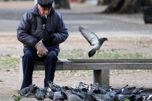 A retired man feeds pigeons at a public park in Buenos Aires June 9, 2011. Hundreds of thousands of retirees are suing the Argentine state over their meager retirement benefits, which have failed to keep pace with inflation. At stake in the escalating legal battle is whether the government can keep siphoning money from the ANSES state pension agency. President Cristina Fernandez's government has used ANSES to fund everything from laptops for schoolchildren to the Treasury itself after she nationalized the pension system in 2008.    REUTERS/Enrique Marcarian (ARGENTINA - Tags: POLITICS SOCIETY EMPLOYMENT BUSINESS) buenos aires  jubilado descansando en un parque jubilacion jubilados tercera edad