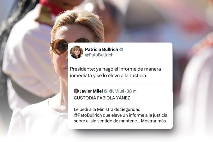 La respuesta de Bullrich al pedido de Milei. Créditos: @PatoBullrich en X