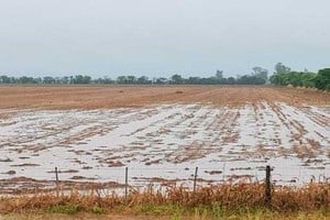 La primavera 2024 será recordada como una temporada que transformó un escenario adverso en uno más esperanzador, aunque con desafíos que el sector deberá afrontar con estrategias y adaptabilidad.