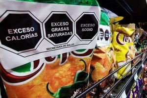 Ley de Alimentación Saludable se basa en tres ejes fundamentales, siendo el etiquetado frontal uno de los más destacados.