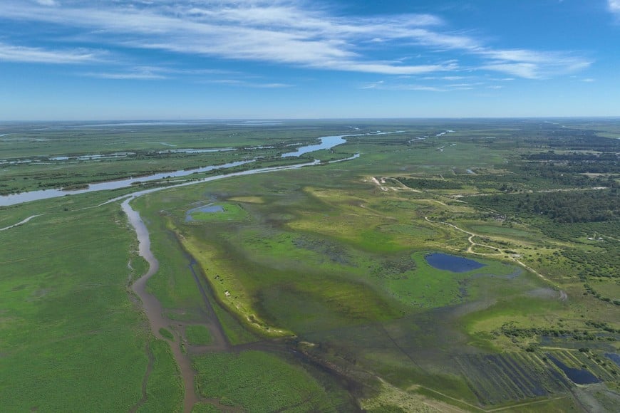 Se espera que continúe el descenso del río. Foto: Fernando Nicola