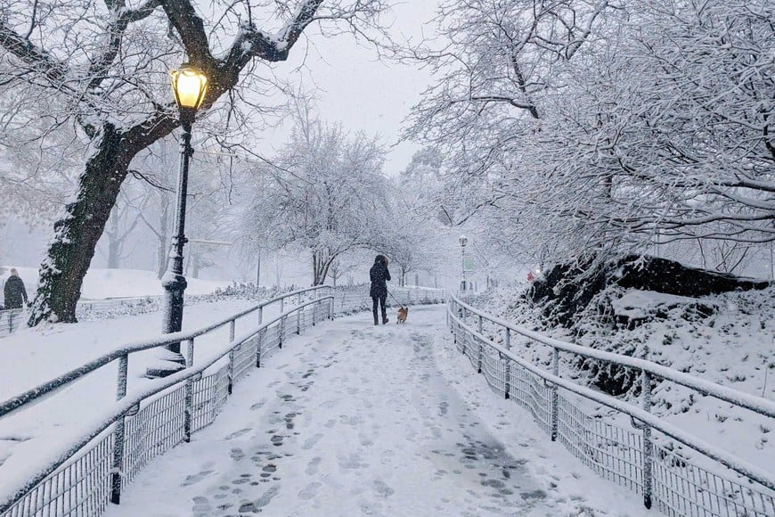 El invierno se siente con dureza en Nueva York y la periodista lo supo retratar. Foto: Sarah Yáñez - Richards