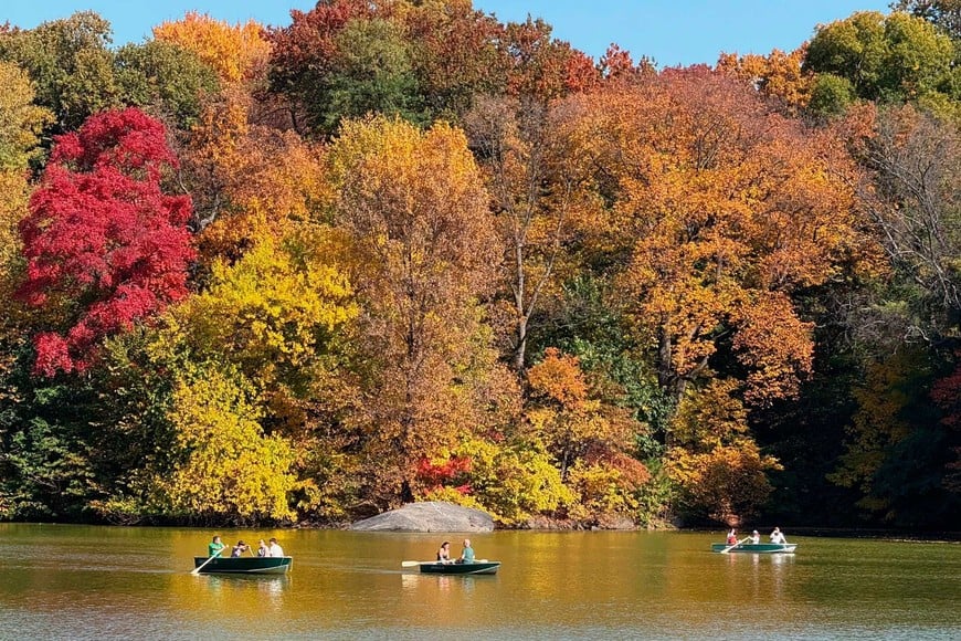 Los espectaculares colores del Central Park, retratado por la periodista española. Foto: Sarah Yáñez - Richards