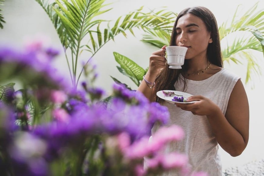 El té azul combina frescura e intensidad en cada infusión.