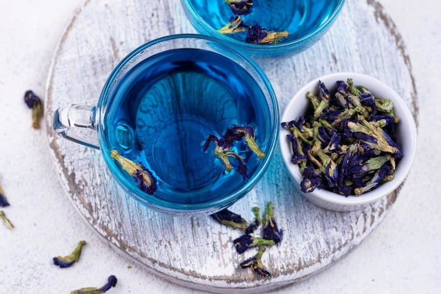 Disfruta de los beneficios del té azul para tu mente y cuerpo.