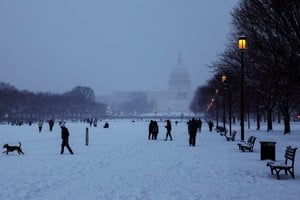 People enjoy the snow on the lawn of the United States Capitol, as a winter storm that brought snow, ice and freezing temperatures to a broad swath of the U.S. arrived, in  Washington, U.S. January 6, 2025. REUTERS/Shannon Stapleton