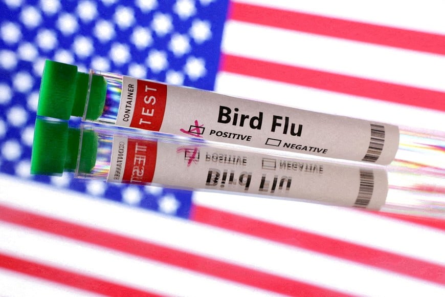 FILE PHOTO: Test tube is seen labelled "Bird Flu" in front of the U.S. flag in this illustration taken, June 10, 2024. REUTERS/Dado Ruvic/Illustration/File Photo