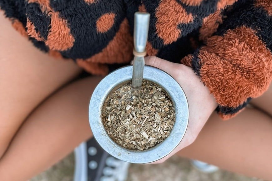 El sabor único del mate con manzanilla: un aliado para tu salud y bienestar diario.