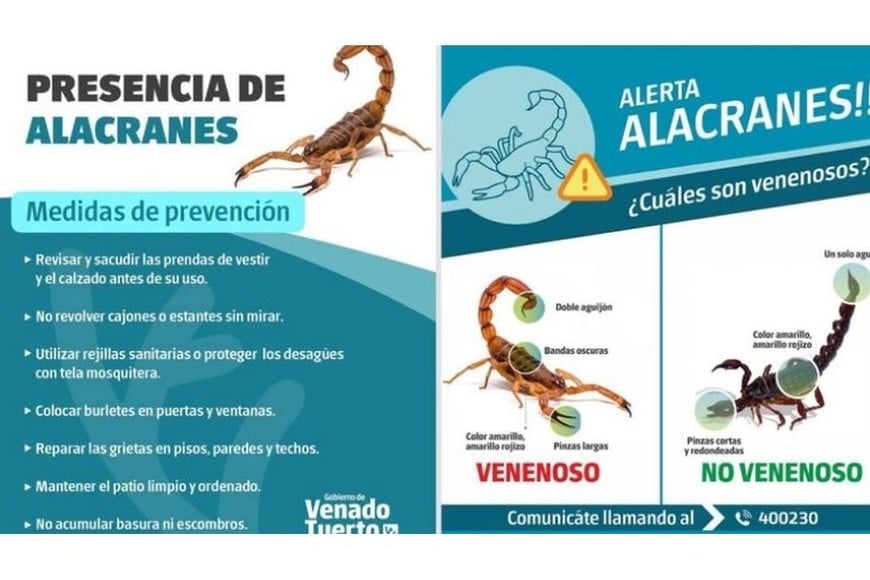 El municipio venadense trabaja en la prevención y el control de la plaga.