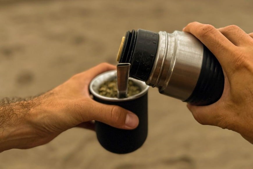 El mate con manzanilla, un remedio natural para la digestión y la inflamación.