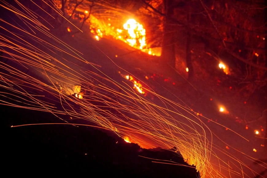 The wind whips embers in the Angeles National Forest near Mt. Wilson as the wildfires burn in the Los Angeles area, during the Eaton Fire in Altadena, California, U.S. January 9, 2025. REUTERS/Ringo Chiu