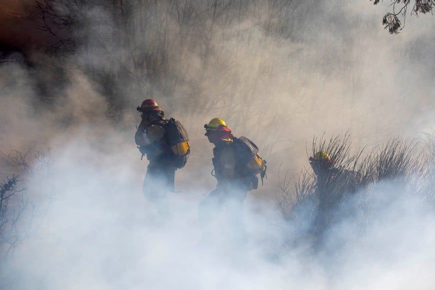 Firefighters work to create a firebreak in the Angeles National Forest near Mt. Wilson as the wildfires burn in the Los Angeles area, at the Eaton Fire in Altadena, California, U.S. January 9, 2025. REUTERS/Ringo Chiu