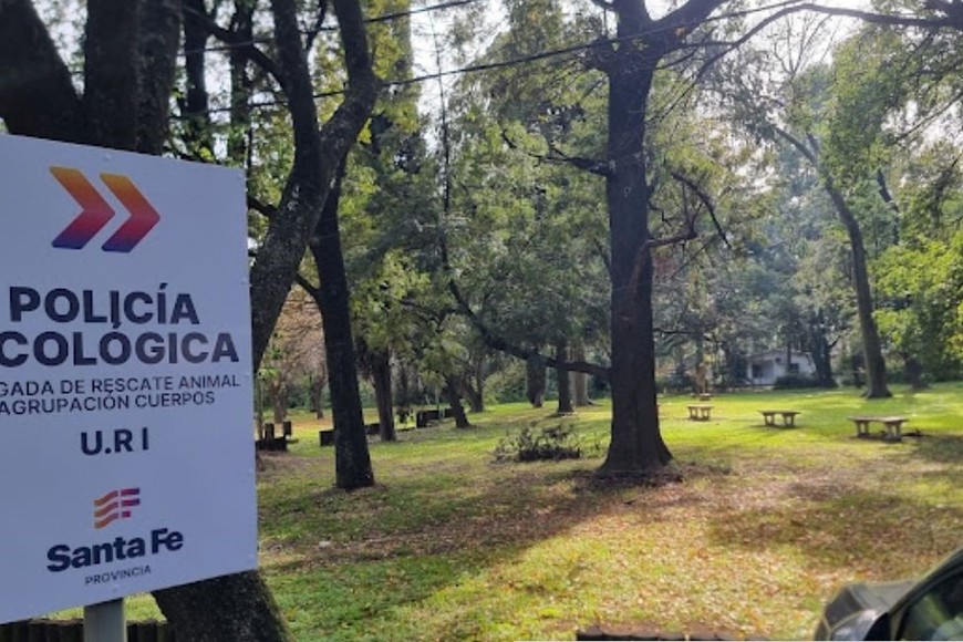 Personal policial de la Brigada Ecológica lo rescató