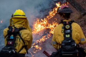 Firefighters watch as the Palisades Fire, one of simultaneous blazes that have ripped across Los Angeles County, burns at the Mandeville Canyon, a neighborhood of Los Angeles, California, U.S. January 11, 2025. REUTERS/Ringo Chiu