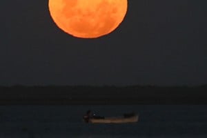 Tarde de la Luna del Lobo en la costanera santafesina