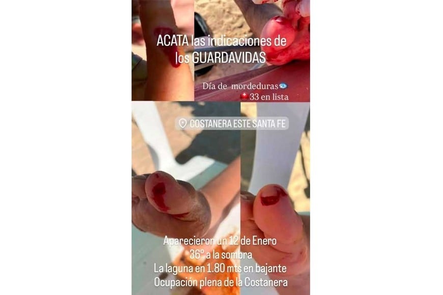 El posteo de los guardavidas en redes sociales.