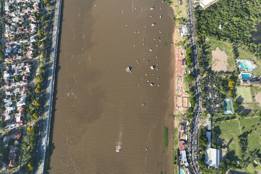 Por mordeduras de palometas, evalúan implementar la “bandera roja” en Playa Este