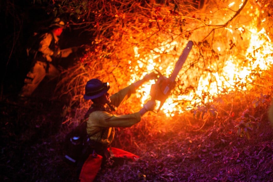 A firefighter works as the Palisades Fire, one of several simultaneous blazes that have ripped across Los Angeles County, burns in Mandeville Canyon, a neighborhood of Los Angeles, California, U.S., January 12, 2025. REUTERS/Ringo Chiu