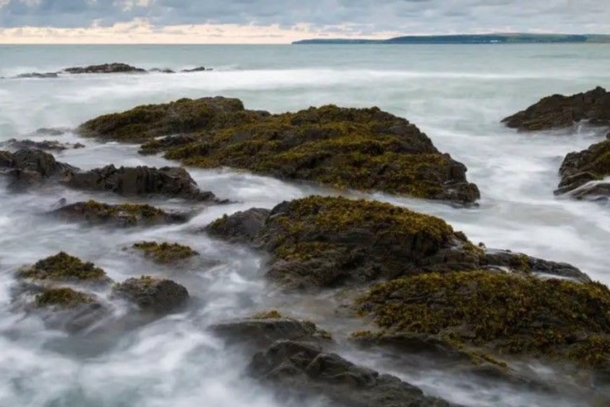 Imagen de la orilla rocosa de Westward Ho! en la costa de North Devon, Reino Unido.