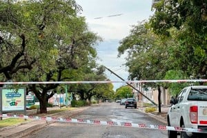 Postes y árboles caídos, algunas de las consecuencias. Foto: Gentileza Génesis Multimedia