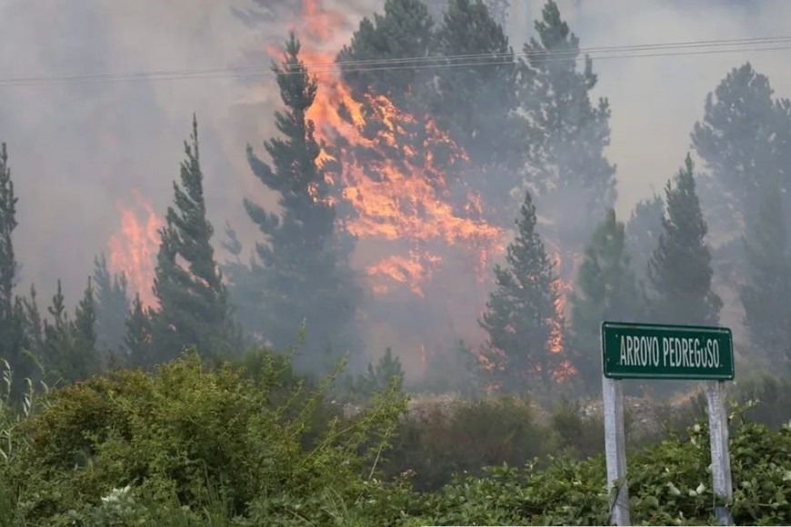 Eel fuego ya consumió 2.000 hectáreas y se evacuaron 200 viviendas