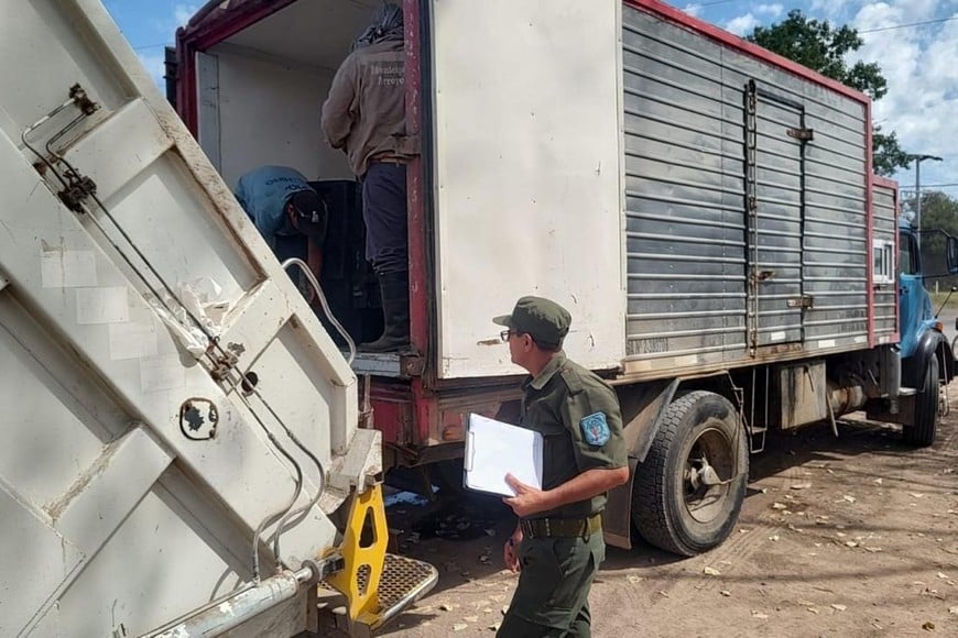 El Ministerio de Ambiente  decomisó en Arroyo Seco 2.942 sábalos durante un operativo de control y fiscalización