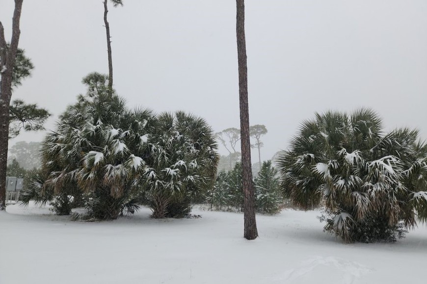 La nieve se desplazó por Panhandle, la región noroeste de Florida, donde comenzó a acumularse desde las primeras horas de la tarde.