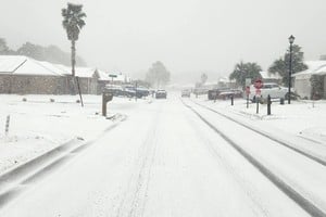 Florida enfrenta récords de nevadas debido a una ola polar. Foto: Redes