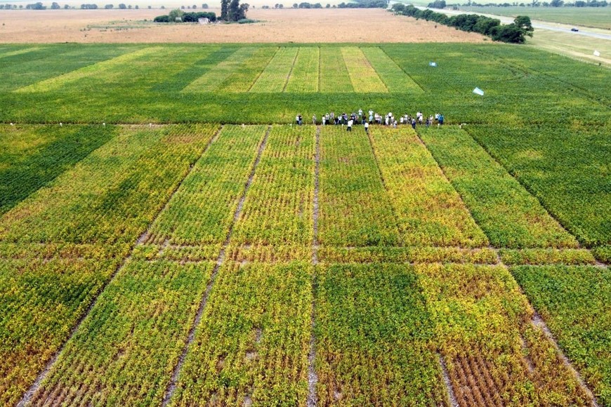 El agro santafesino celebra la baja de retenciones y pide medidas permanentes