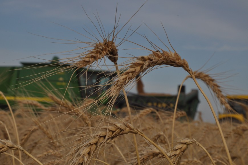 El agro santafesino celebra la baja de retenciones y pide medidas permanentes