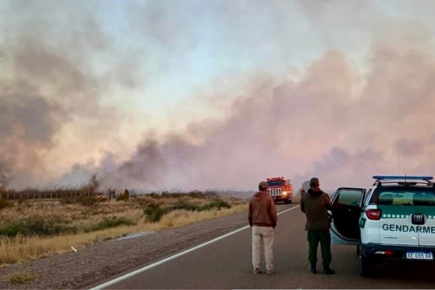 Los incendios forestales en la Patagonia argentina continúan causando estragos