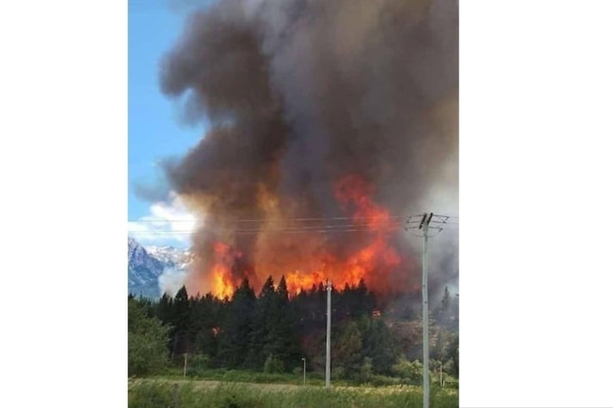 Los incendios tuvieron un impacto devastador en ambas provincias.