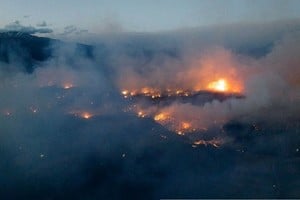 La confirmación de que los incendios  fueron provocados intencionalmente generó indignación y en la sociedad.