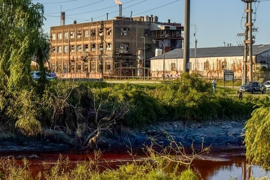 Esta situación pone en evidencia la crisis ambiental que afecta a la comunidad