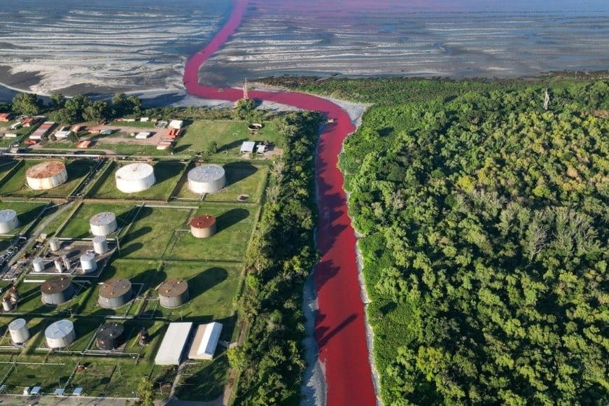 Se tomó muestras del agua para determinar la causa exacta de la coloración